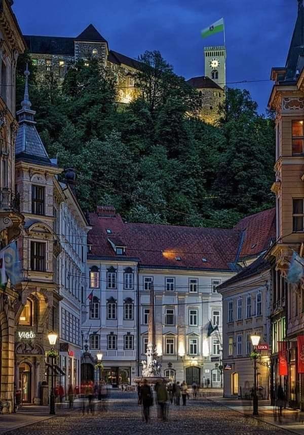 Apartment In The Heart Of Ljubljana Ngoại thất bức ảnh